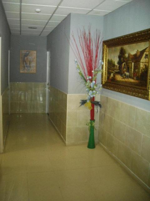 Hostal Ds Velilla de San Antonio Extérieur photo